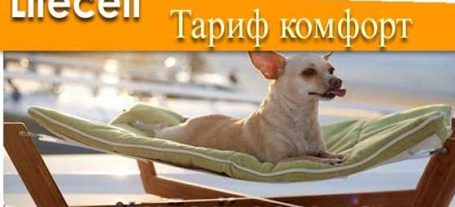 Тариф Лайфселл Комфорт — ідеальний вибір для абонентів популярної мобільної мережі